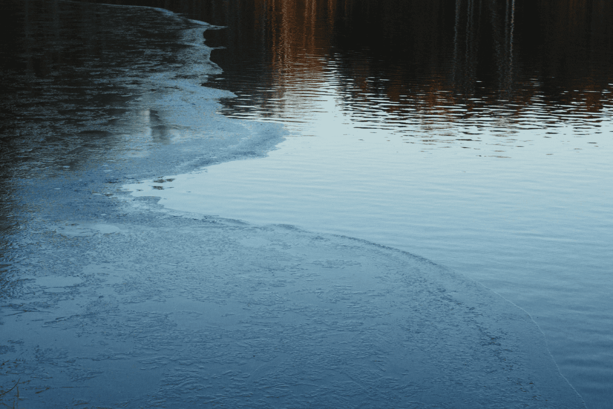 Esquí acuático: modalidades y principios fundamentales Condiciones entornos esquí