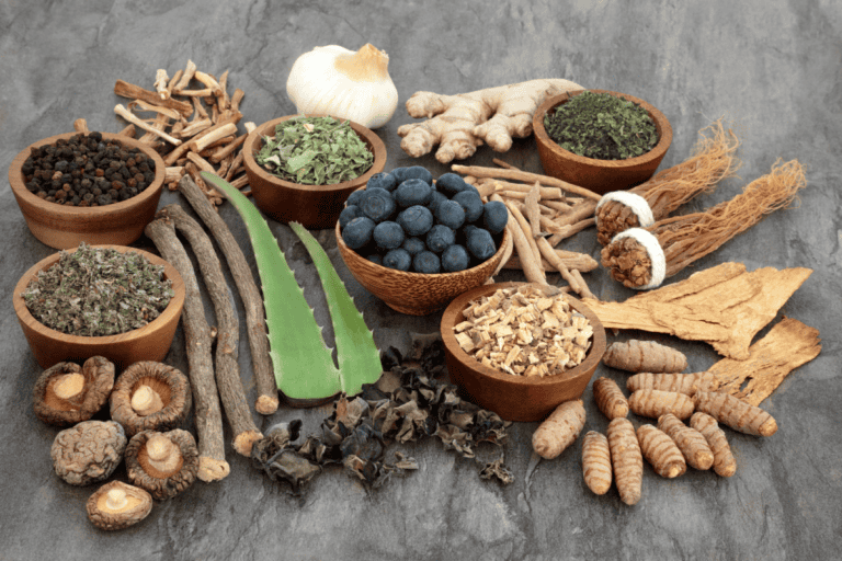 Adaptogenos naturales