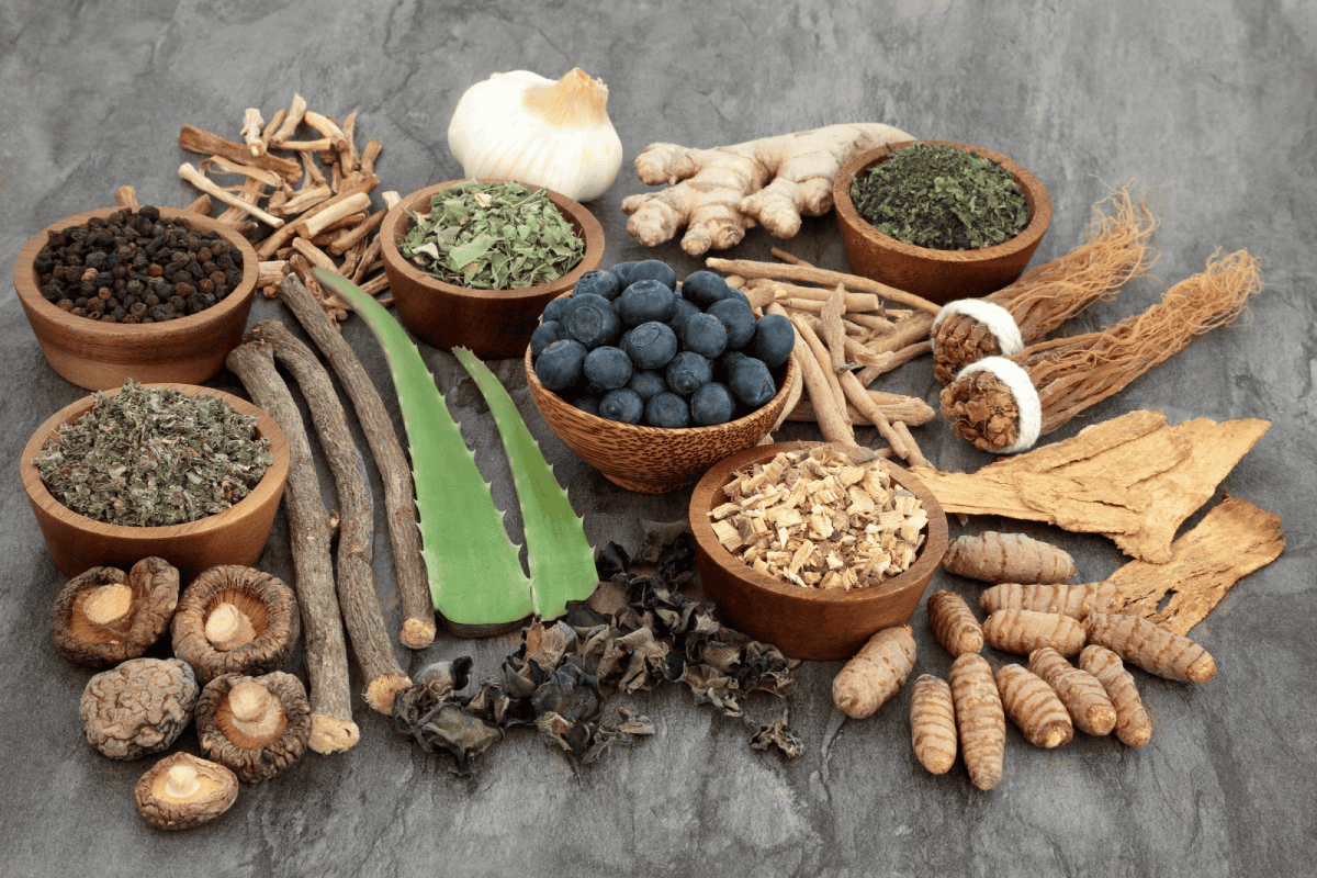 Adaptogenos naturales