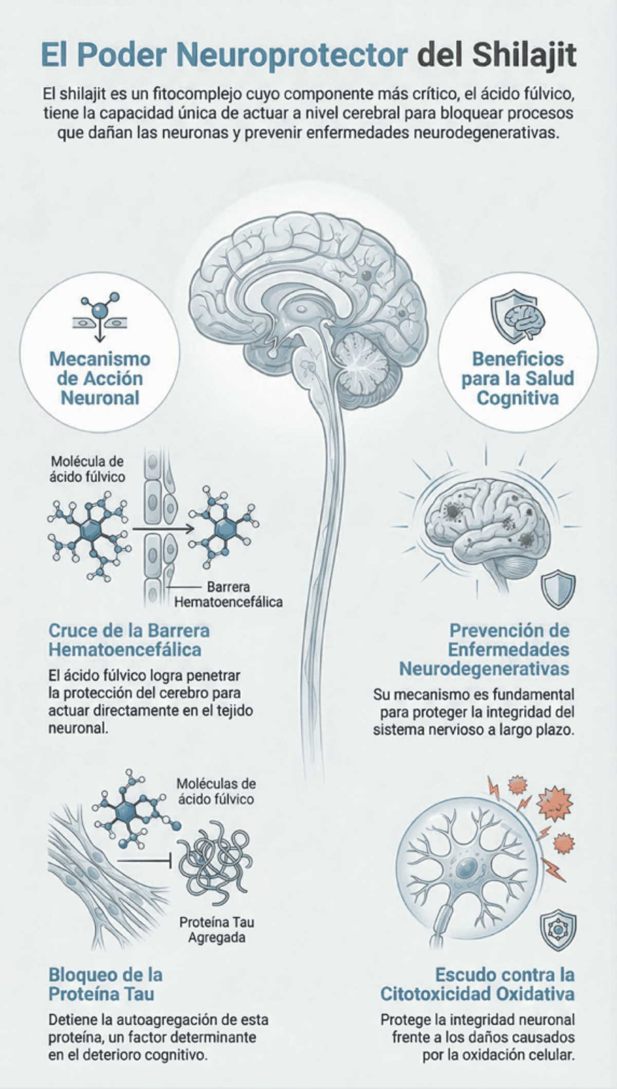 ¿Para qué sirve shilajit y cuáles son sus componentes? Neuroprotección shilajit