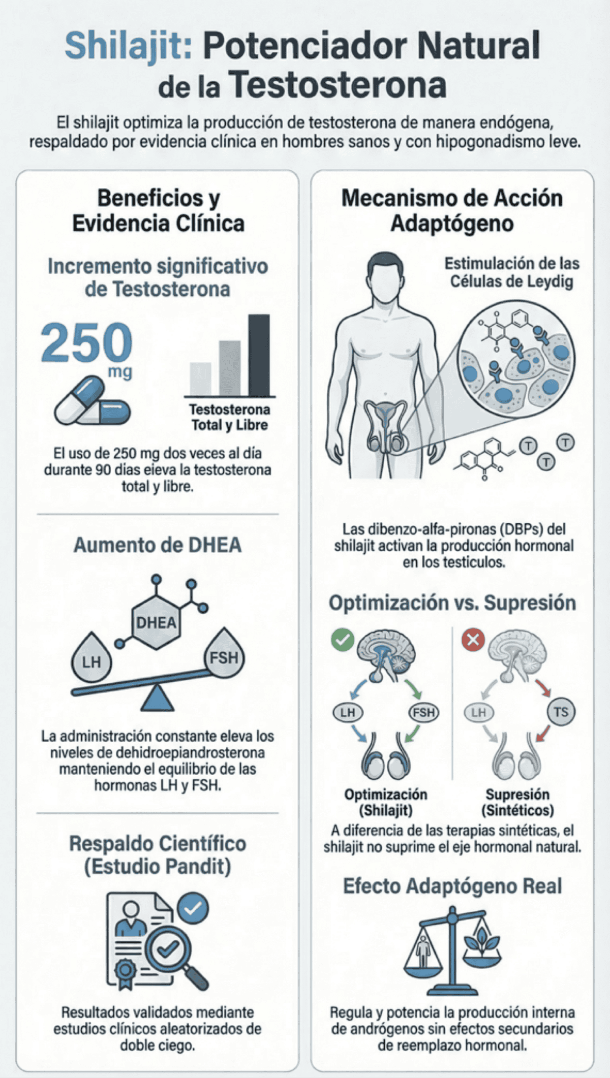 ¿Para qué sirve shilajit y cuáles son sus componentes? Salud masculina
