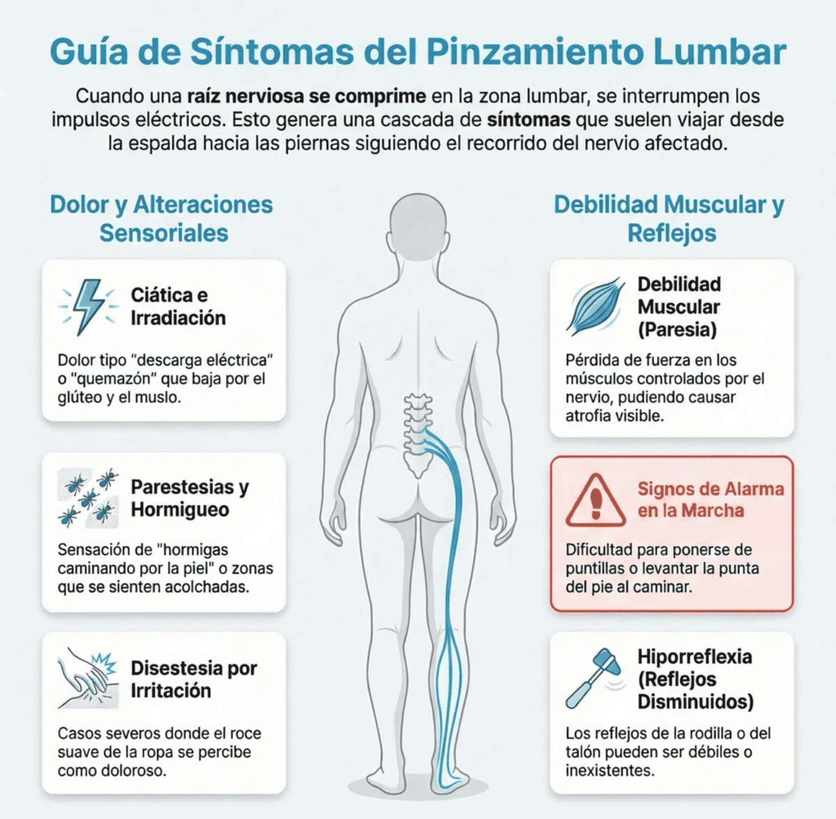 Pinzamiento lumbar: qué es, síntomas y tratamiento Síntomas pinzamiento lumbar