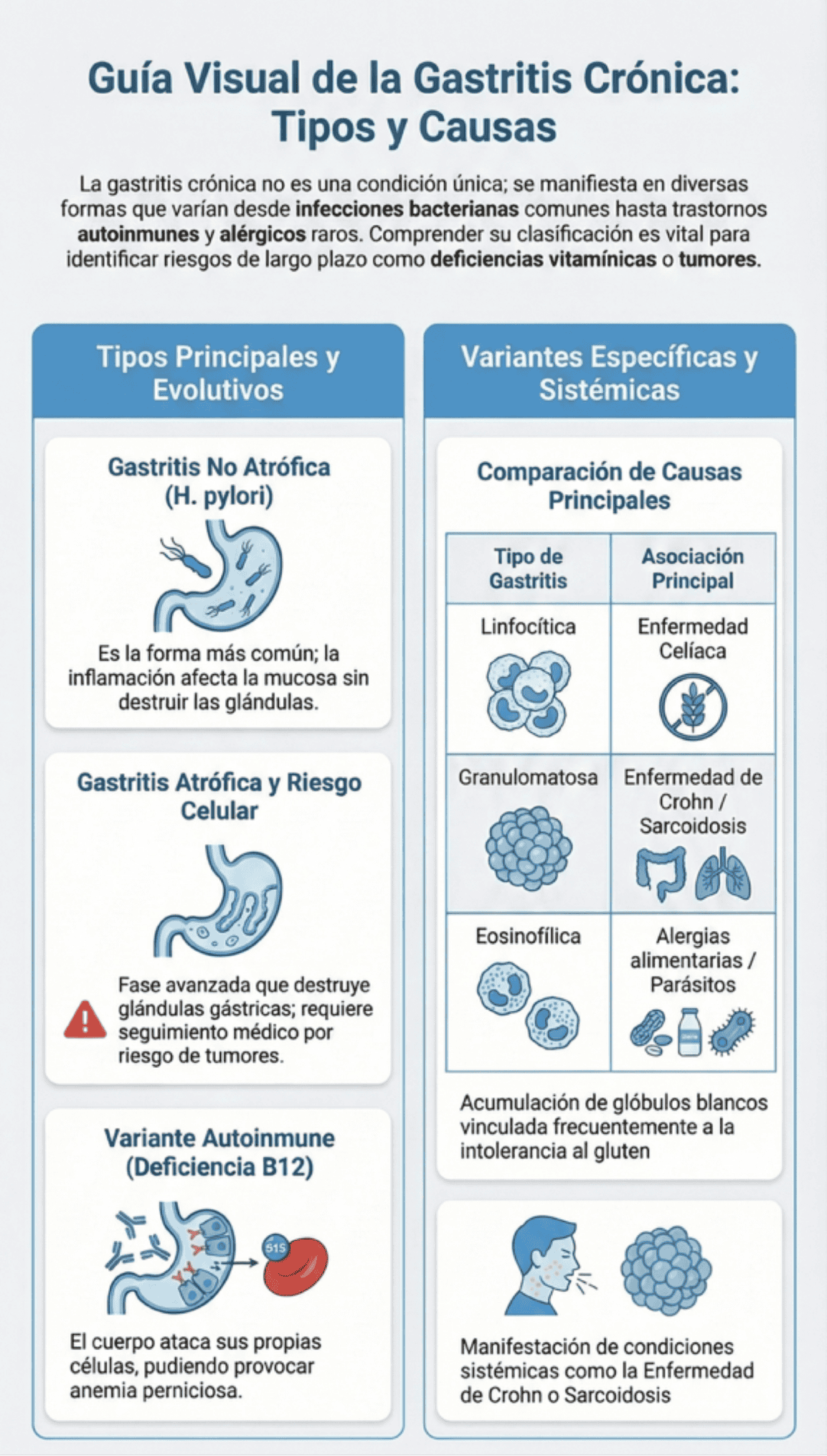 Gastritis crónica: síntomas principales y tratamiento Descripción gastritis