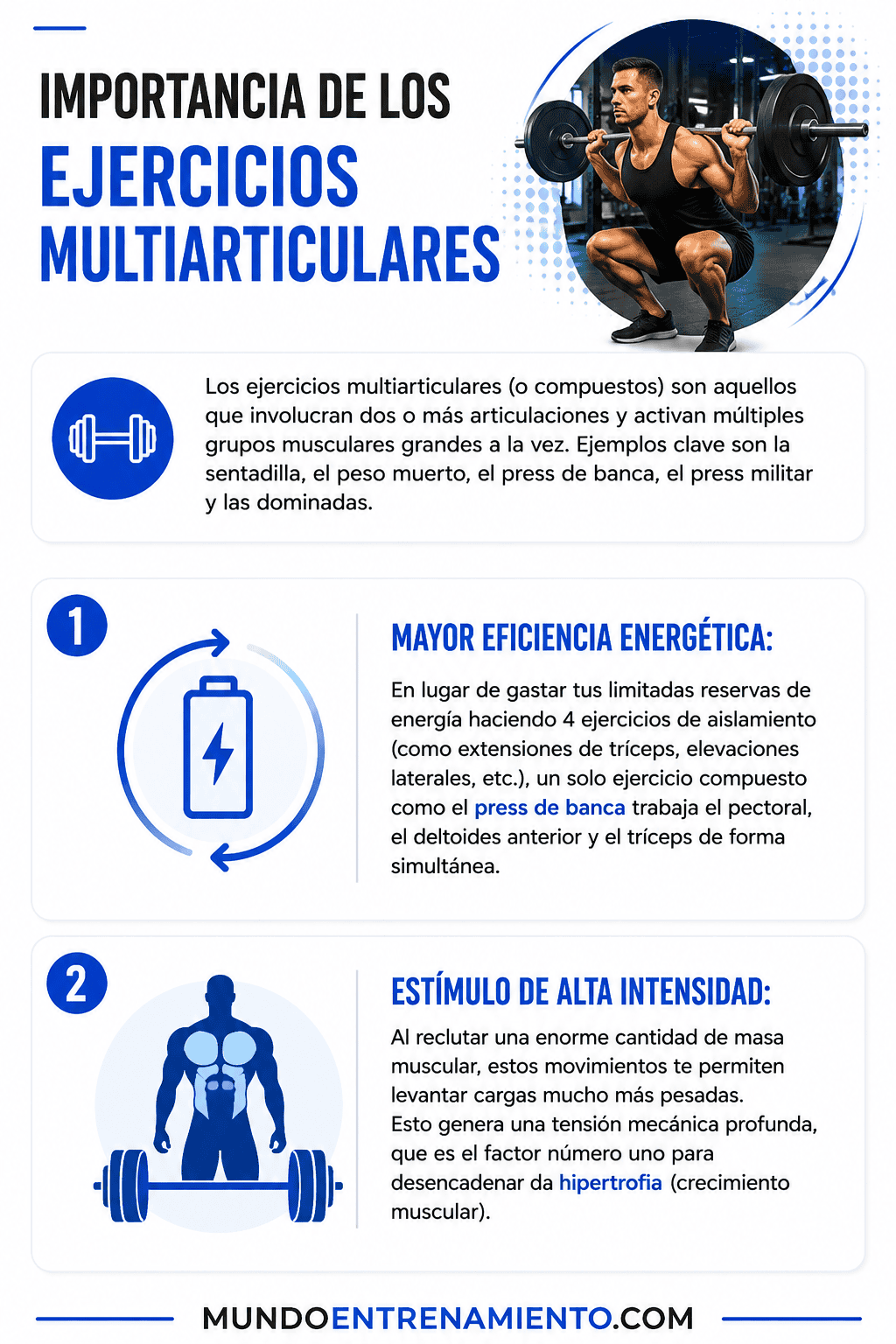 1 Guía ectomorfo completa para incrementar músculo Ejercicios multiarticulares