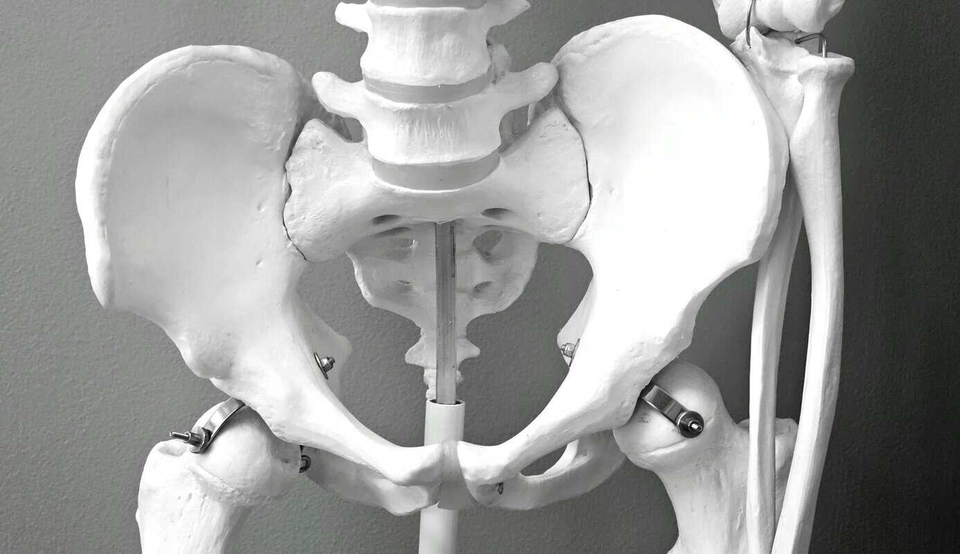 Músculo psoas: 8 preguntas clave para conocerlo Huesos de la cadera