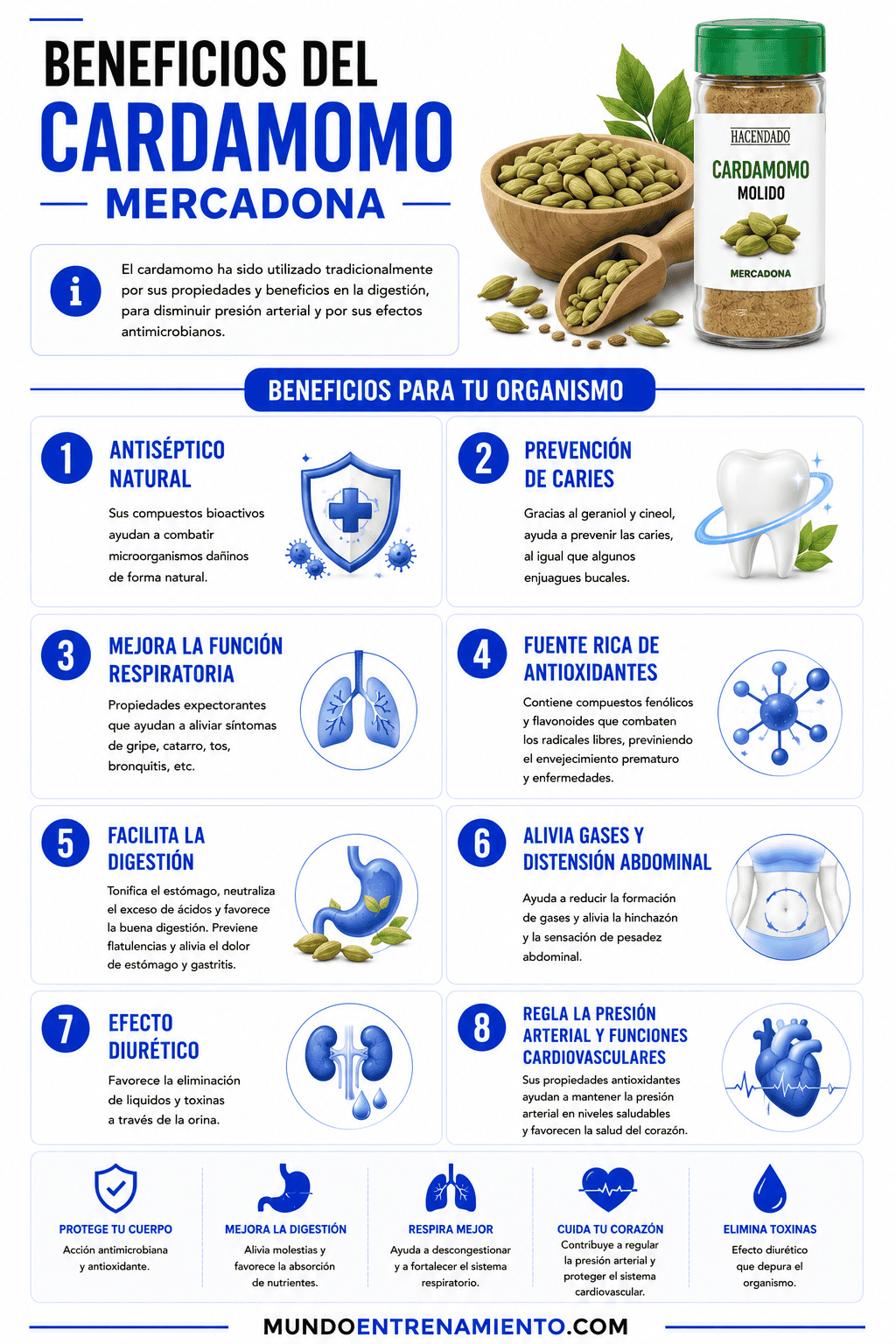Cardamomo mercadona: propiedades y beneficios para la salud Beneficios generales cardamomo