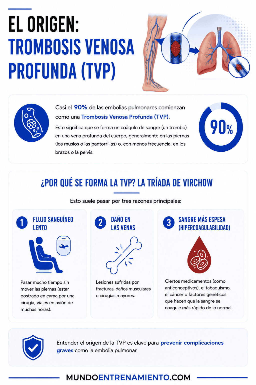 Embolia pulmonar: qué es, síntomas de alerta y tratamiento Origen trombosis venosa profunda