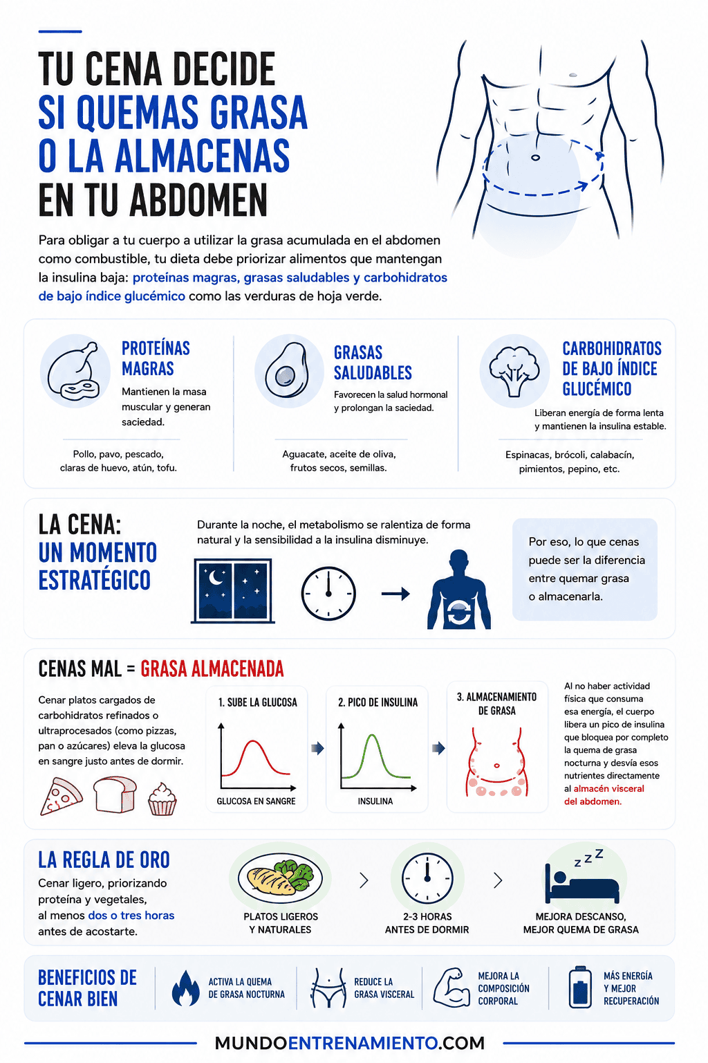 Perímetro abdominal y riesgo de muerte: Guía 2026 Perimetro abdominal y cena