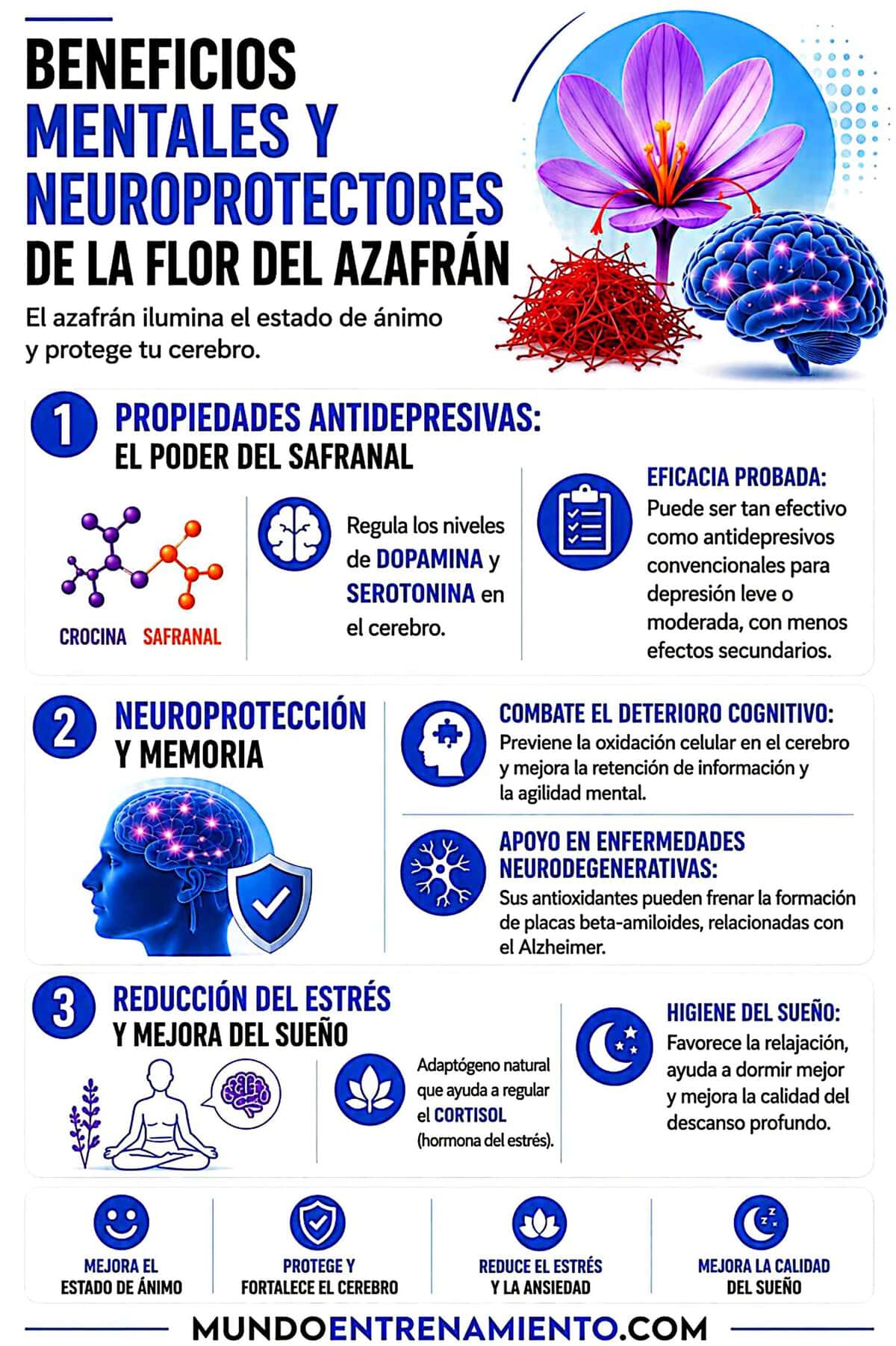 La flor del azafrán: 4 beneficios para la depresión Beneficios mentales azafrán