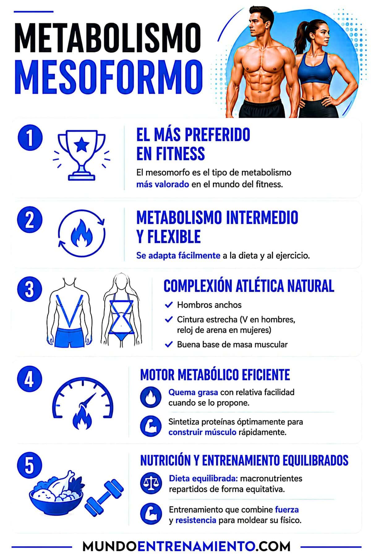 Tipos de metabolismo y su influencia en el peso Metabolismo mesomorfo