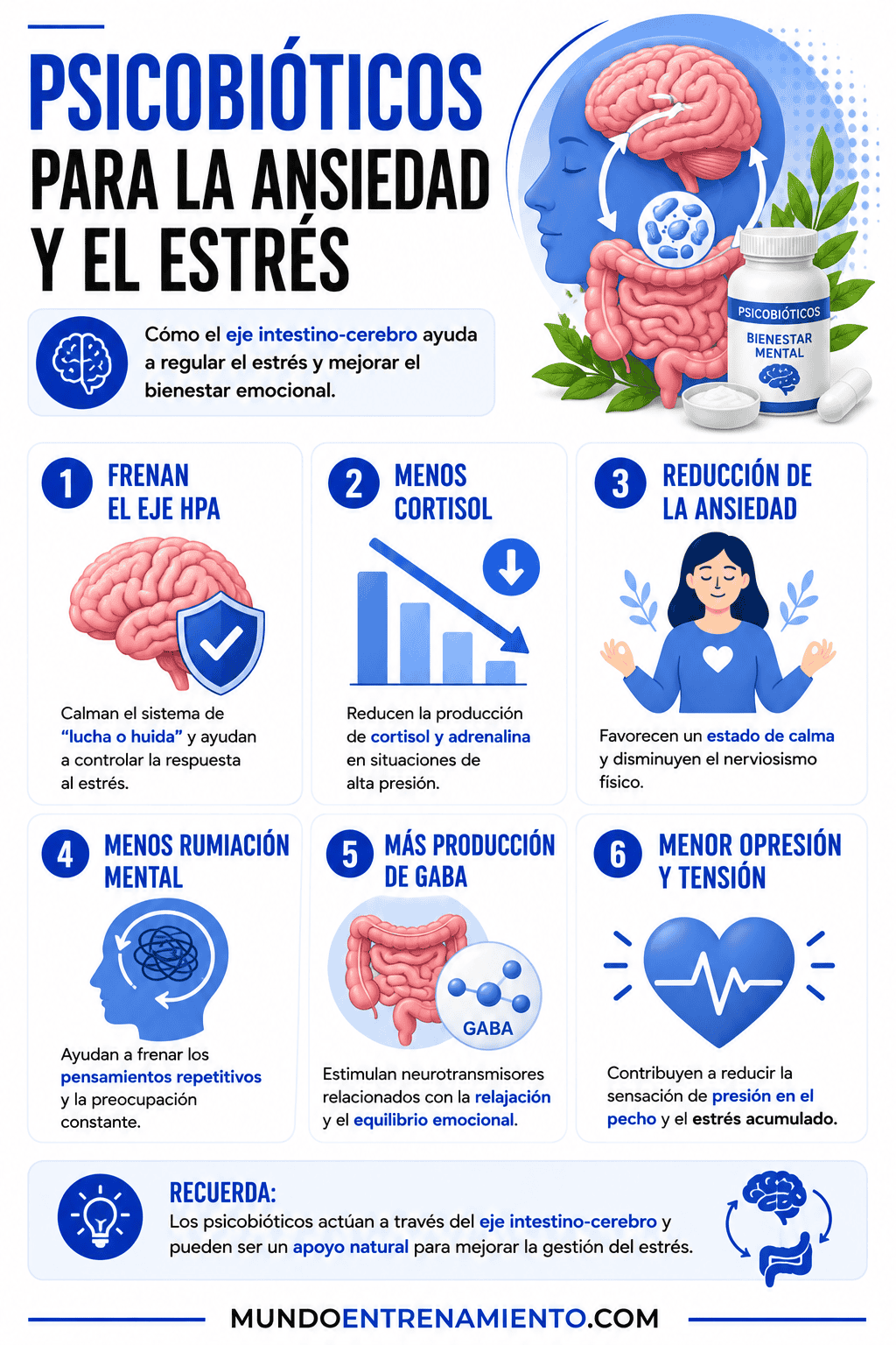 Psicobioticos: qué son y su impacto en la ansiedad y el ánimo Beneficios psicobioticos