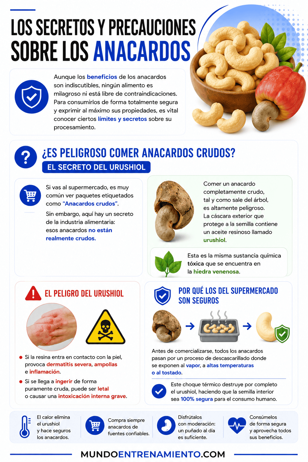 Anacardos beneficios: 5 propiedades y guía completa Contraindicaciones anacardos