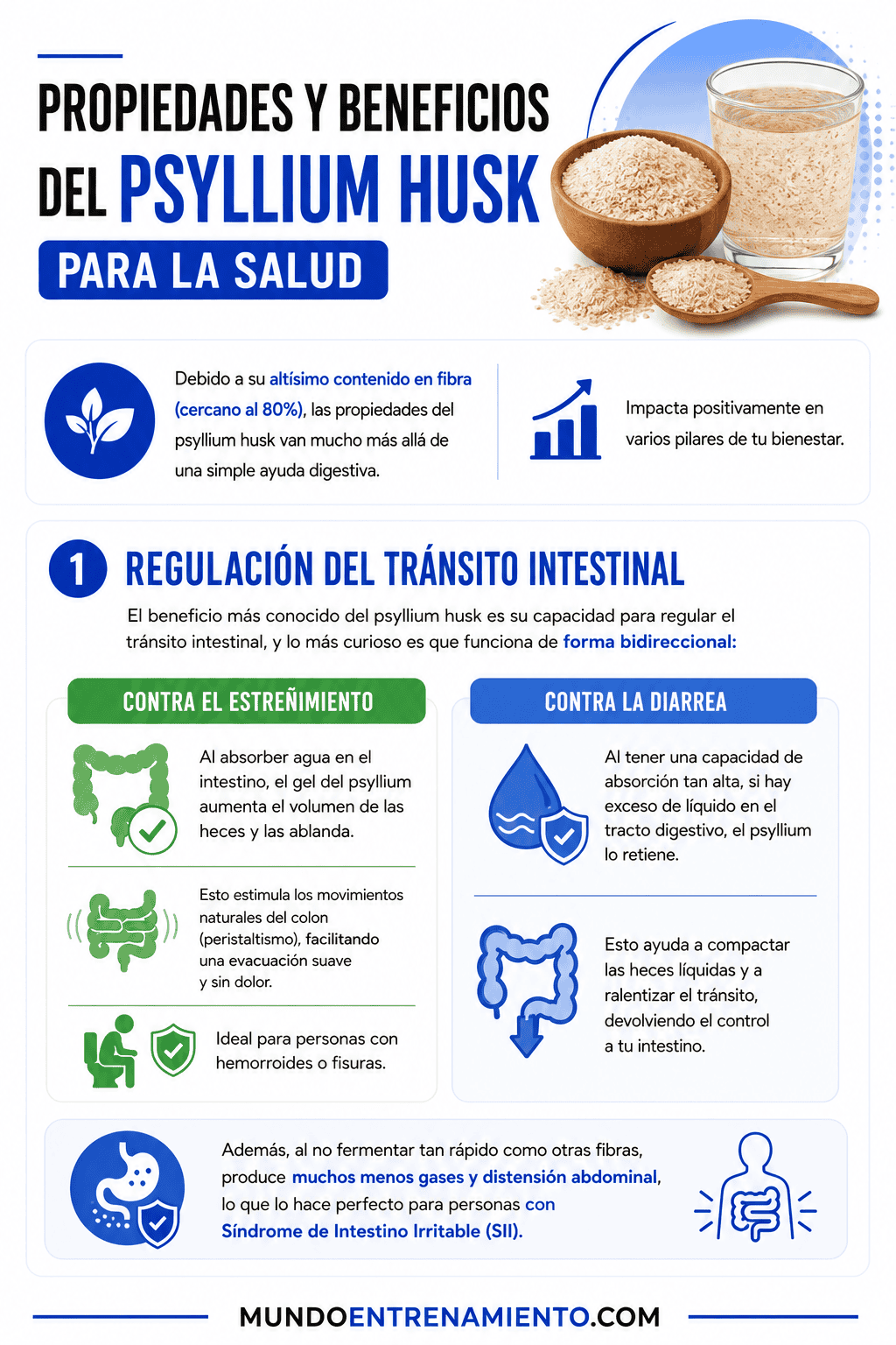 Psyllium Husk: qué es y 3 propiedades saludables Propiedades psyllium