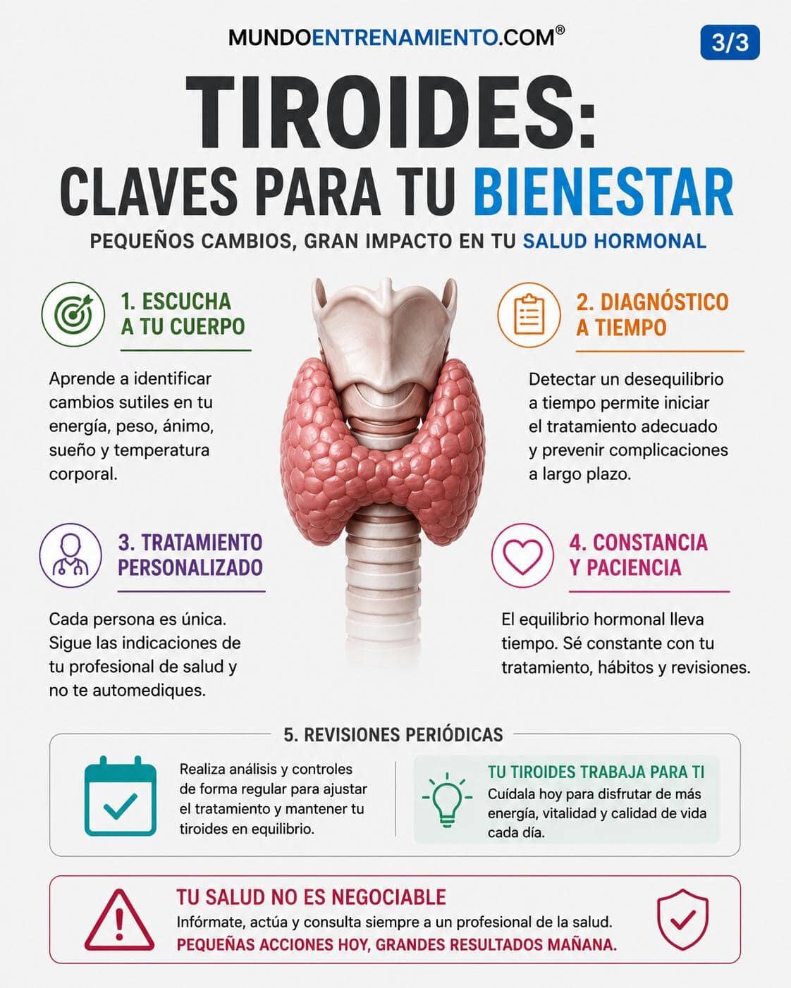 Gastritis autoinmune y Hashimoto: destrucción vitamina b12 Bienestar tiroides