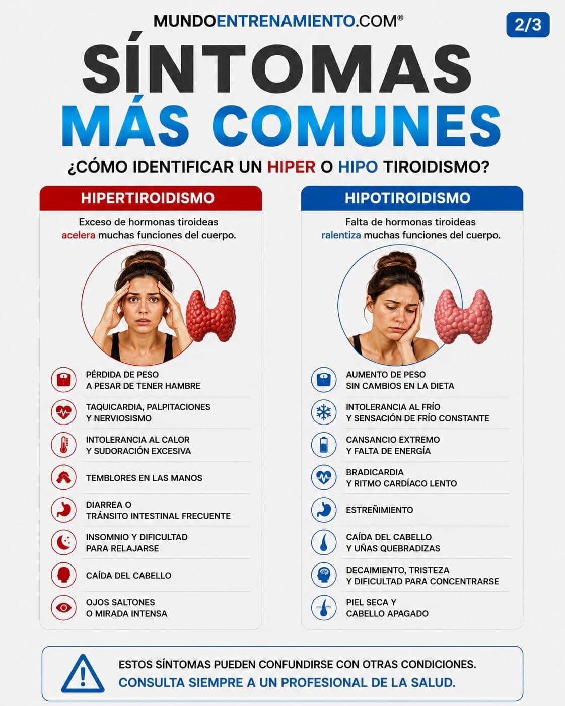 Gastritis autoinmune y Hashimoto: destrucción vitamina b12 Sintomas hipotiroidismos