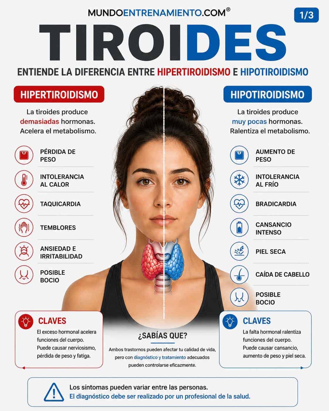 Gastritis autoinmune y Hashimoto: destrucción vitamina b12 Tiroides gastritis autoinmune