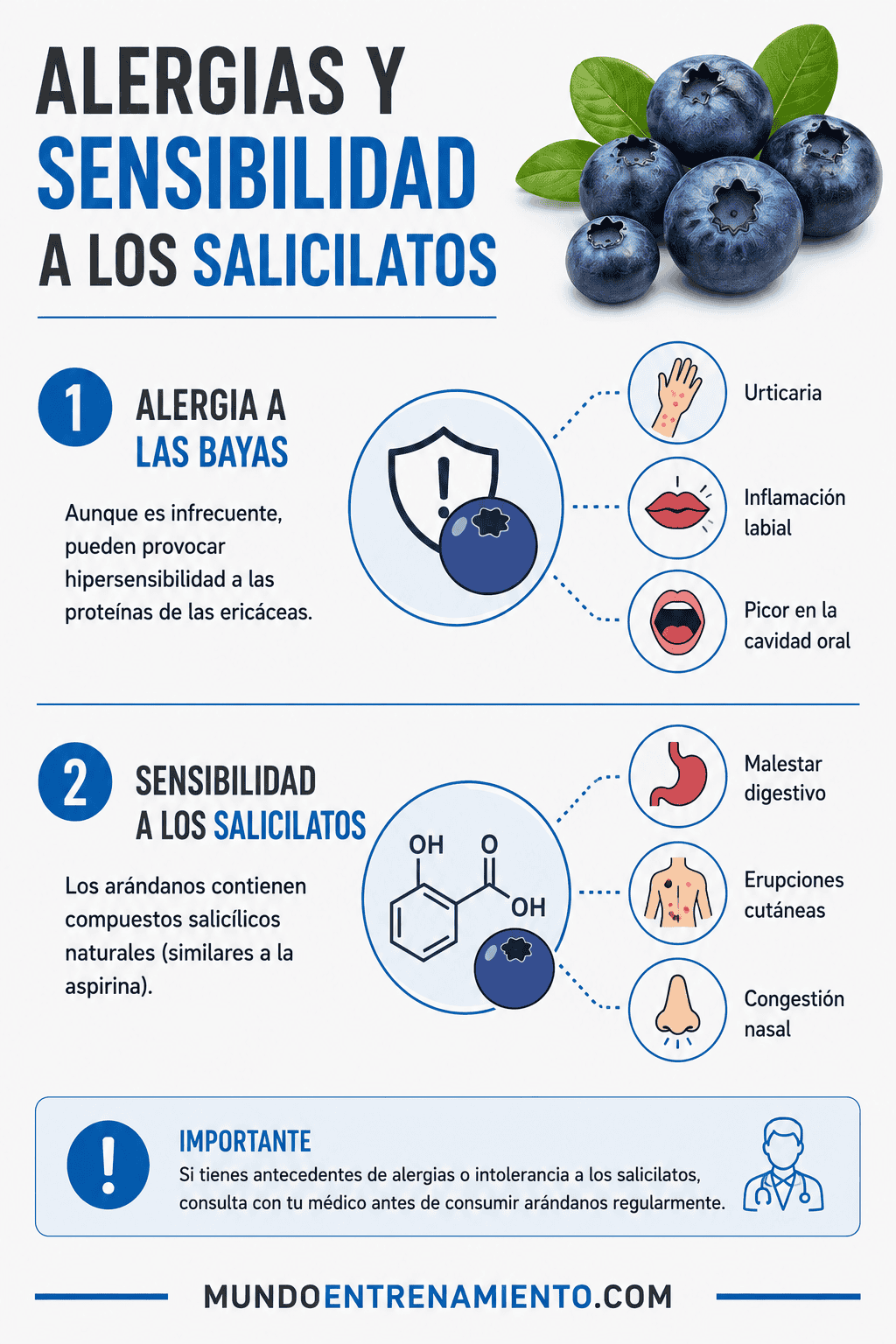 Arándanos propiedades, beneficios y valor nutricional Alergias arándanos