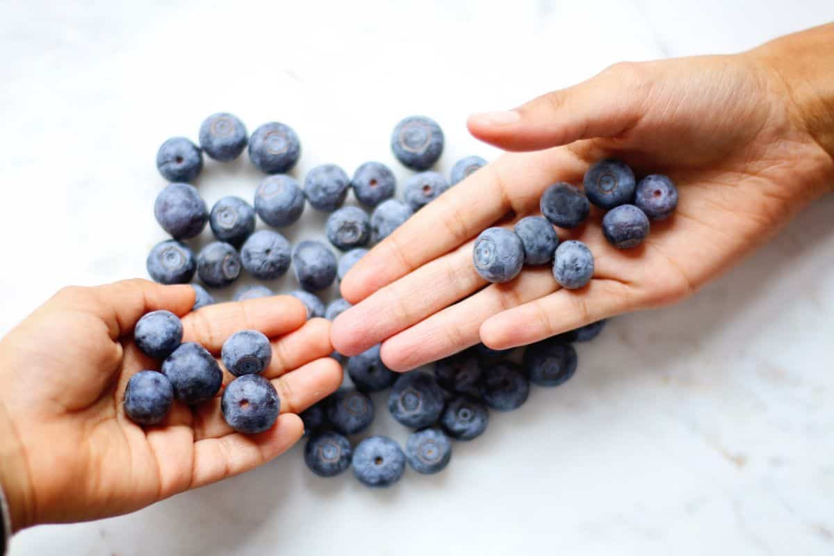 Arándanos propiedades