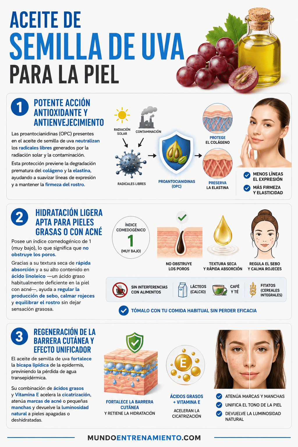 Aceite de semilla de uva: antioxidante para tu piel y salud Beneficios aceite uva