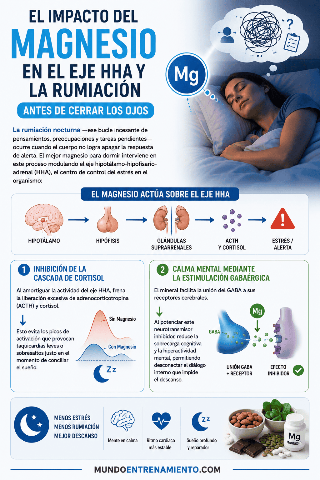 El mejor magnesio para dormir: guía sobre tipos y dosis Descanso nocturno magnesio