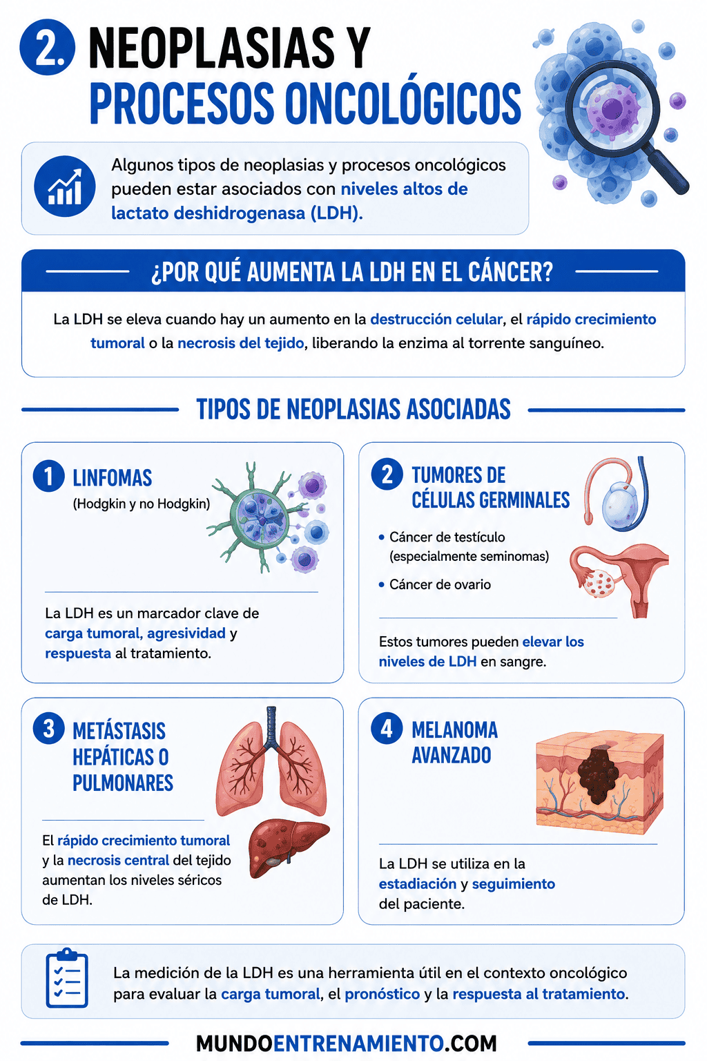Neoplasias y oncología