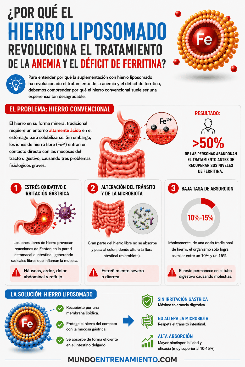 Hierro liposomado: Guía definitiva sin efectos secundarios Problemas fisiológicos hierro común