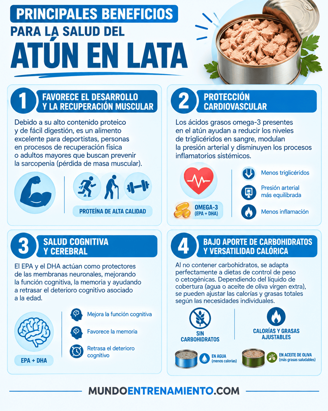 Atún en lata: propiedades y consumo en el embarazo Beneficios atún en lata