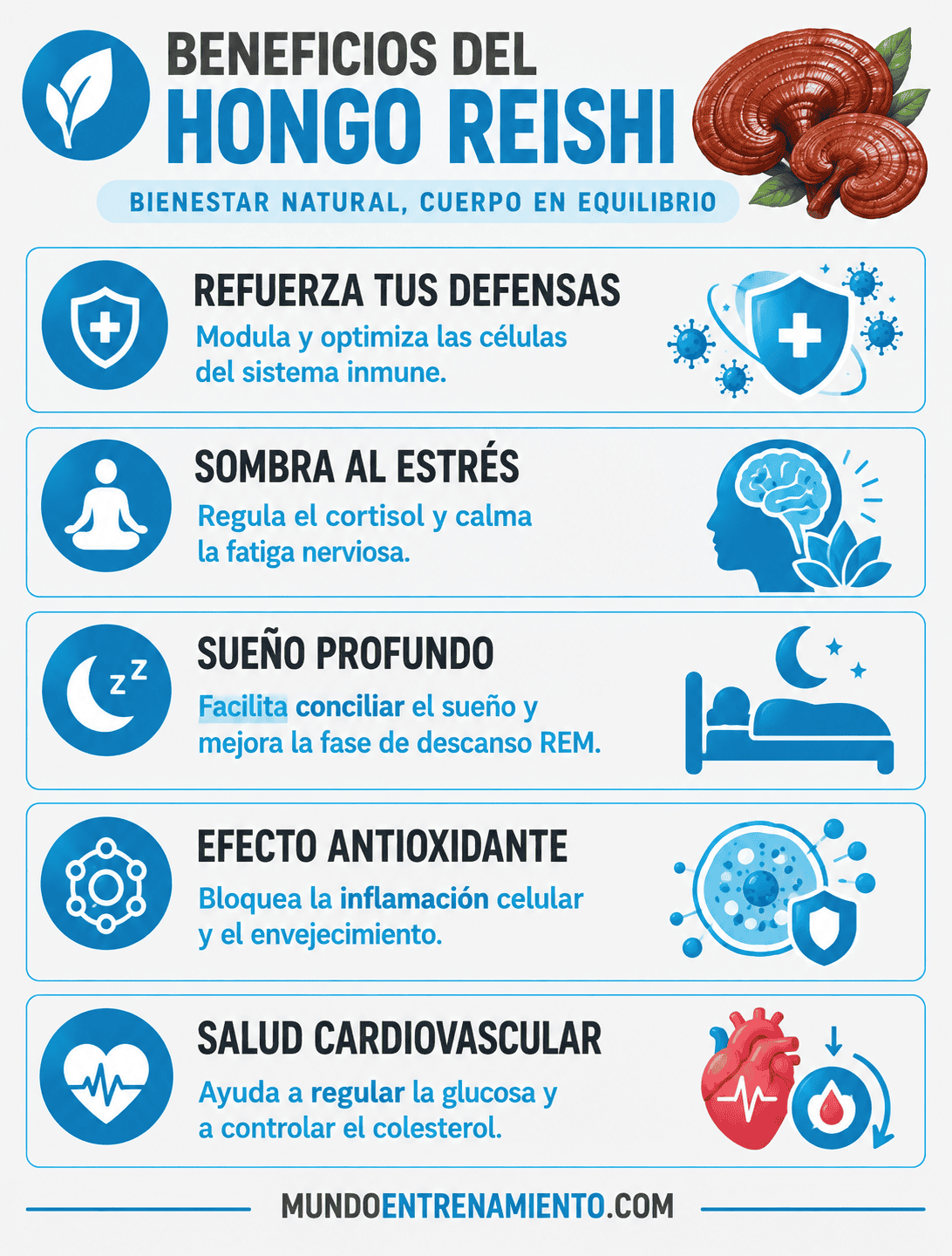 Hongo reishi: propiedades, 5 beneficios y cómo tomarlo Beneficios hongos reishi