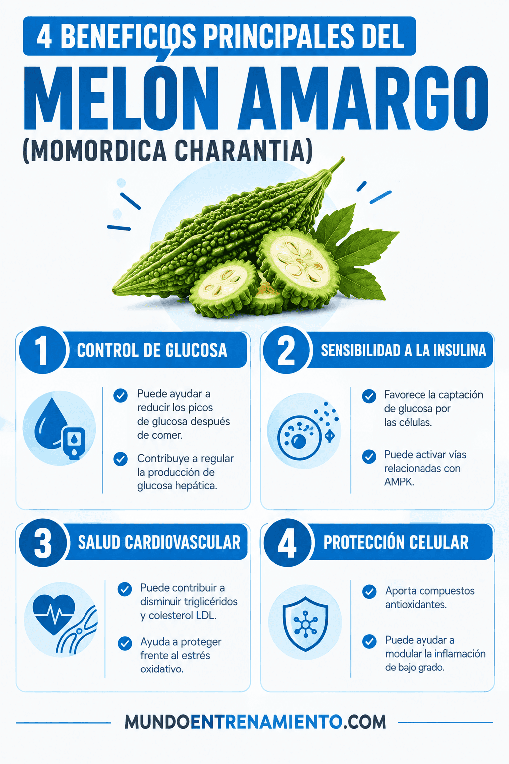 Melón amargo: el potente regulador del azúcar Beneficios del melón amargo