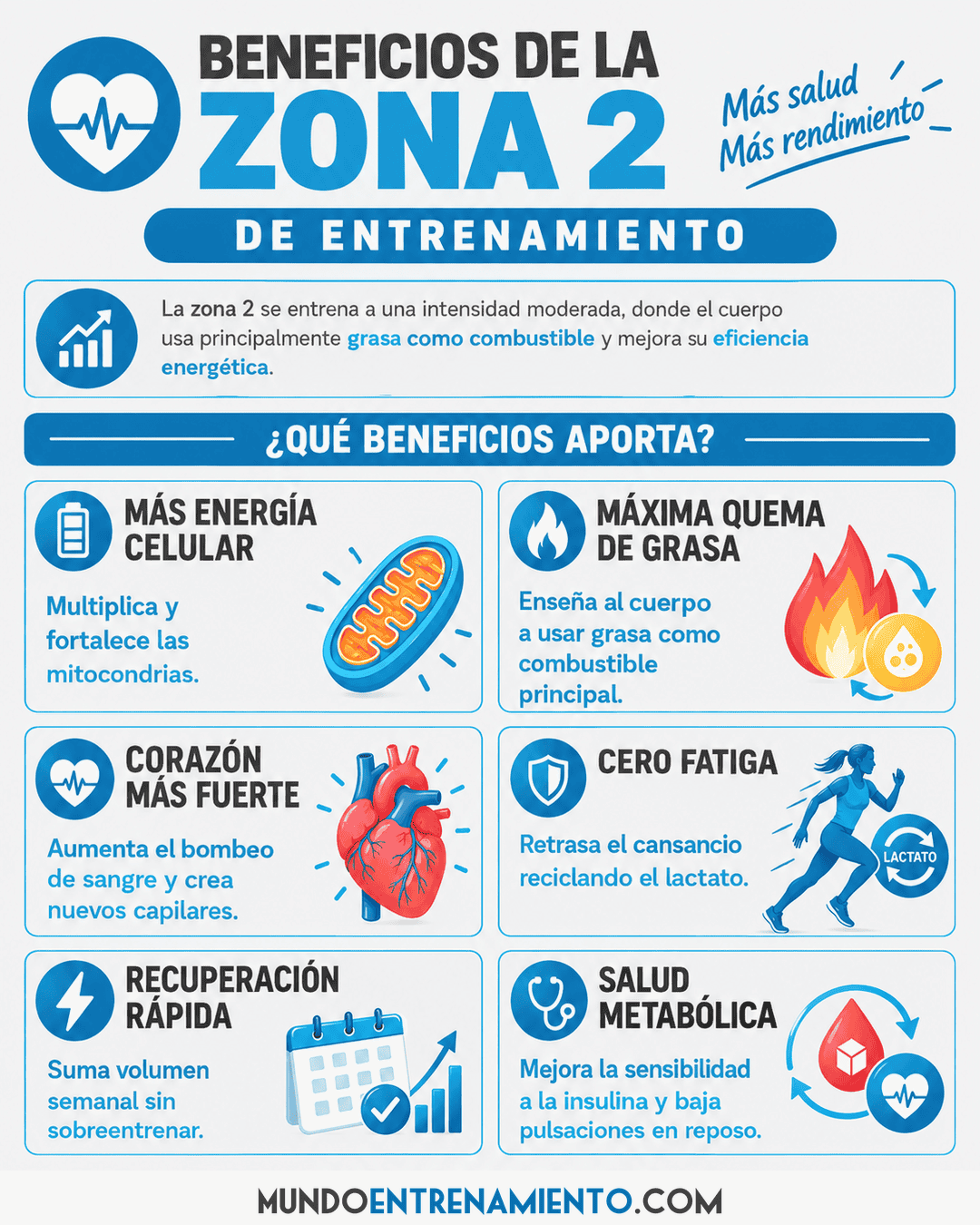 Zona 2: Entrenamiento y secreto de la resistencia Beneficios zona 2