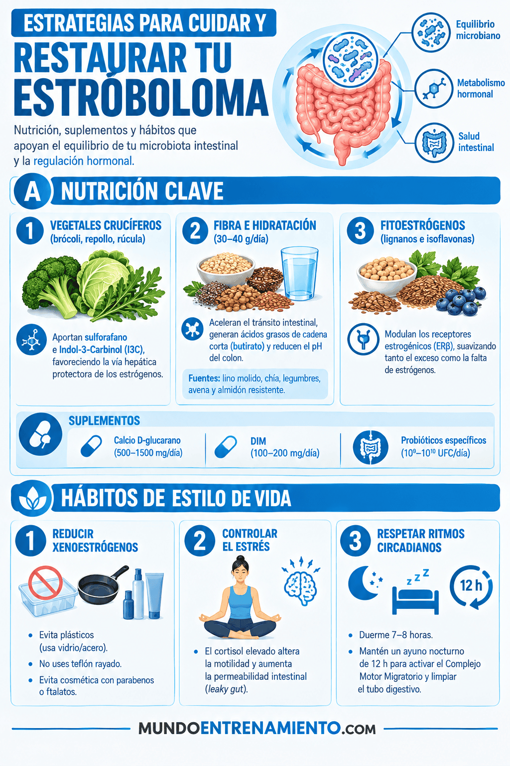 Estroboloma y salud hormona: regulación de estrógenos Cuidado estroboloma
