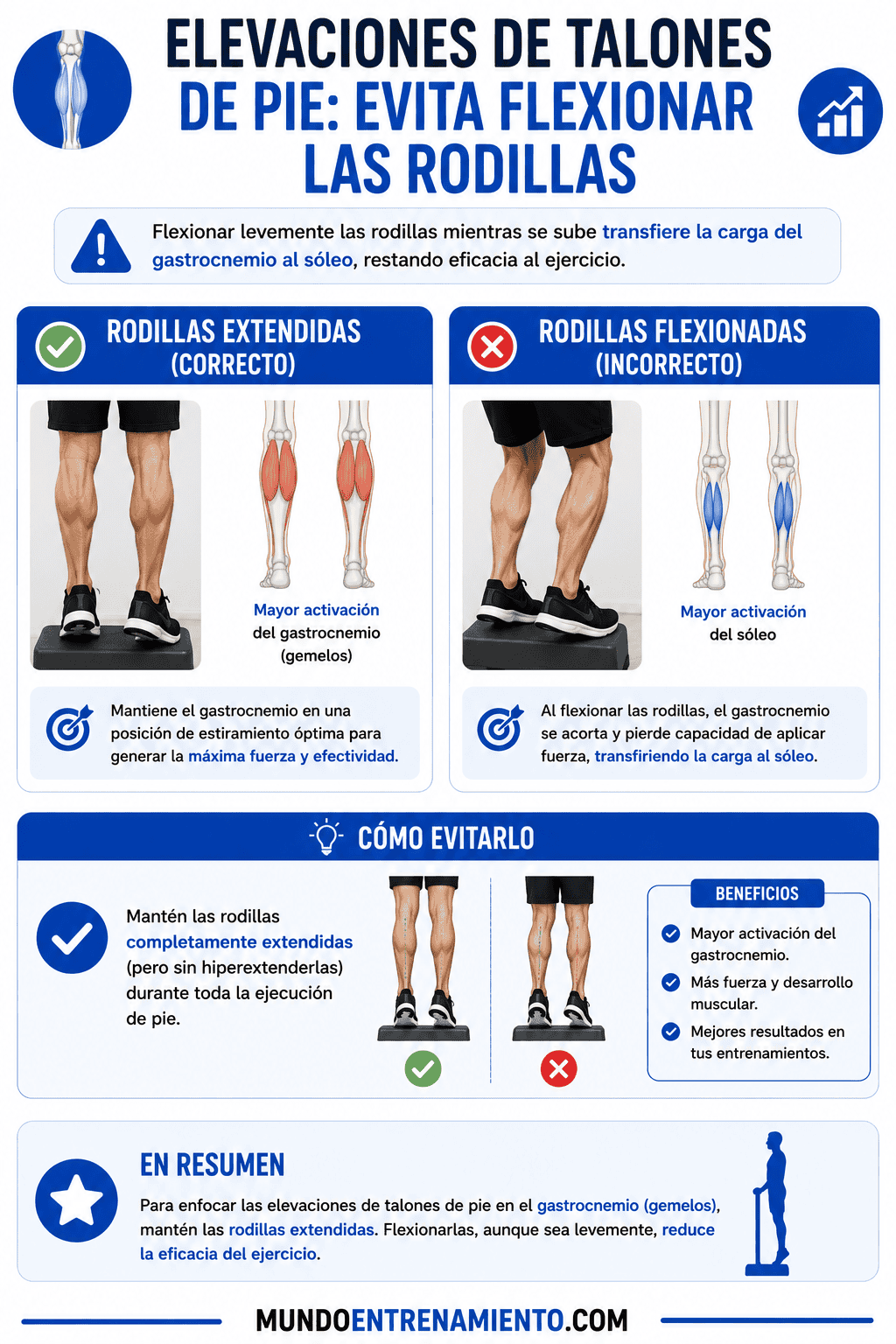 Elevaciones de talones: beneficios, técnica y variaciones Errores elevaciones talones