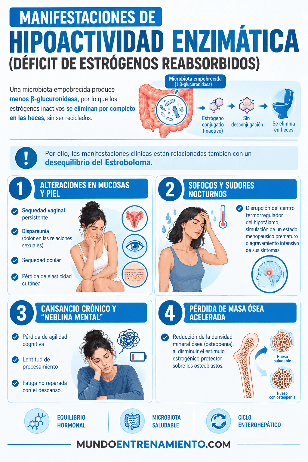 Estroboloma y salud hormona: regulación de estrógenos Síntomas desequilibrio estroboloma