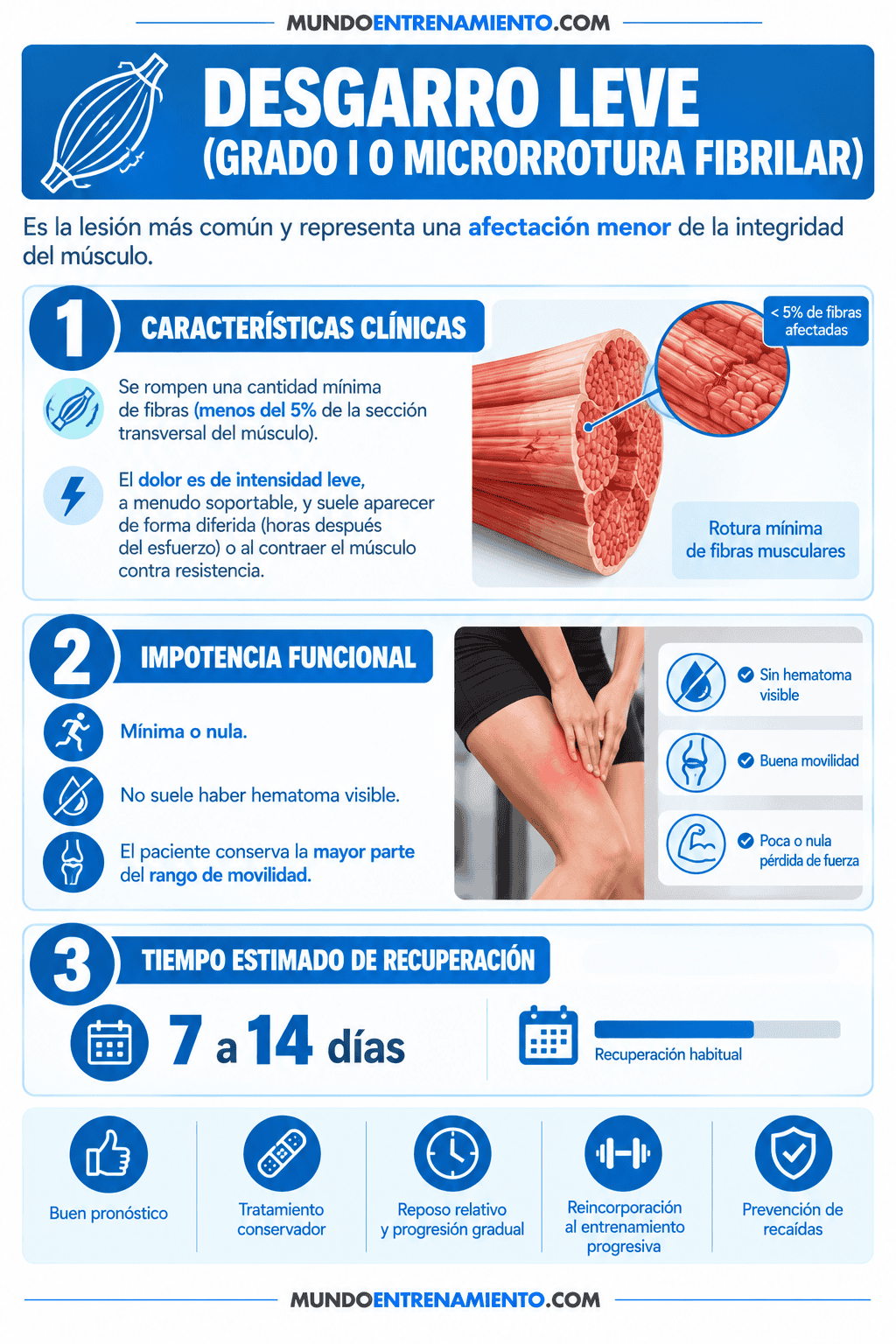 Desgarro muscular: grados, síntomas y tratamiento Desgarro leve
