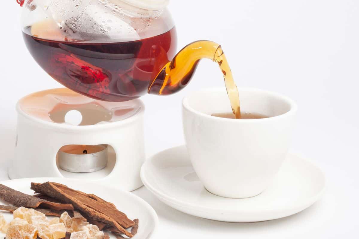 Inonotus obliquus: un hongo con propiedades medicinales Infusion chaga